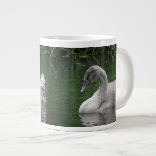 Graceful Swan on Water Tasse