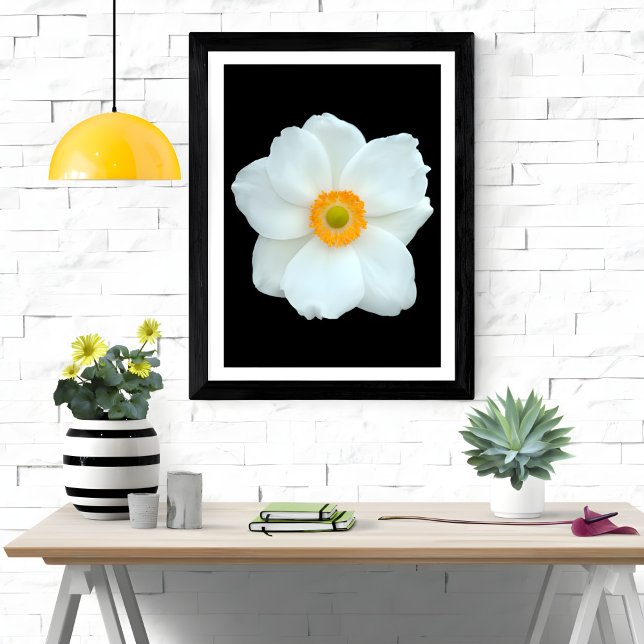 Graceful White Anemone Fotodruck (Von Creator hochgeladen)