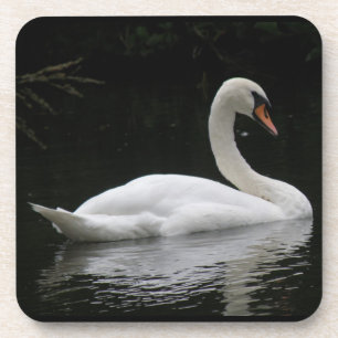 Graceful White Swan Cork Untersetzer