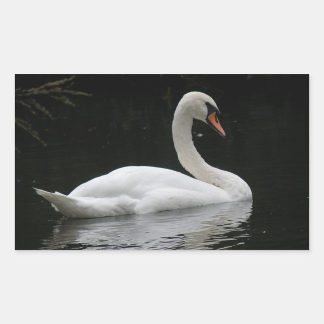 Graceful White Swan Stickers (Vorderseite)