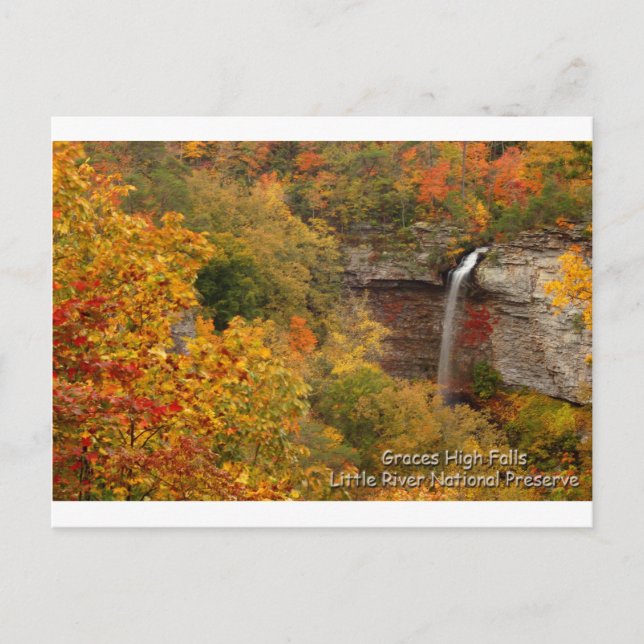 Graces High Falls Postkarte (Vorderseite)