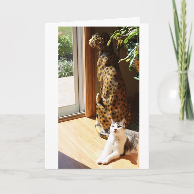 Gracey und schlechte Miezekatze, die ein Sonnenbad Karte (Vorderseite)