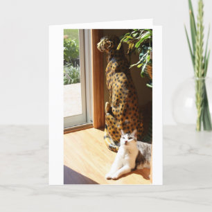 Gracey und schlechte Miezekatze, die ein Sonnenbad Karte