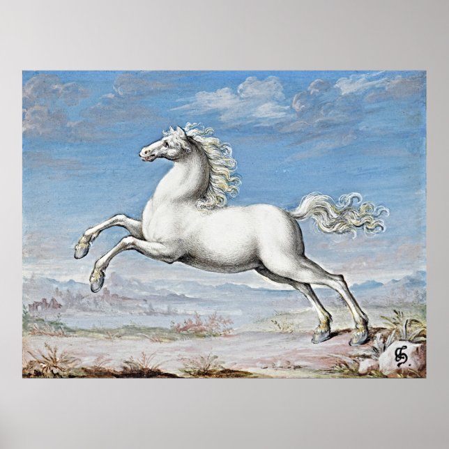 Gracful Power: White Horse - Retro Artwork Poster (Vorne)