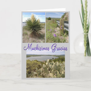 Gracias! Dankeskarte