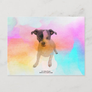Gracie Disco Blank Postcard Postkarte
