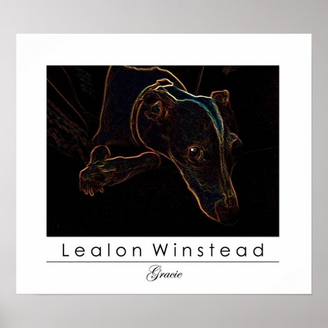 Gracie Poster (Vorne)