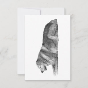 Gracious Paws, Velvet Line Dankeskarte