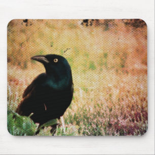 Grackle Bird Mousepad