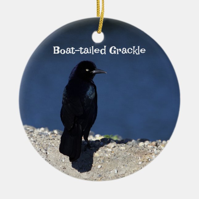 Grackle-Ornament Keramik Ornament (Vorne)