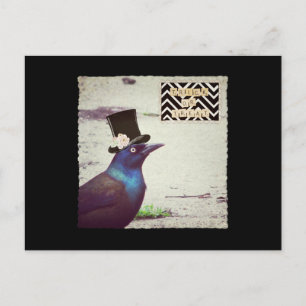 Grackle Süßes oder Saures Postkarte