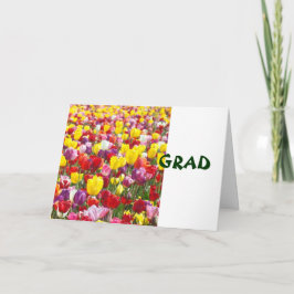 GRAD Grußkarten Glückwunsch Tulip Blume Karte