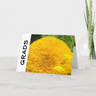 GRADS Grußkarten Personalisierte Sonnenblumen Karte