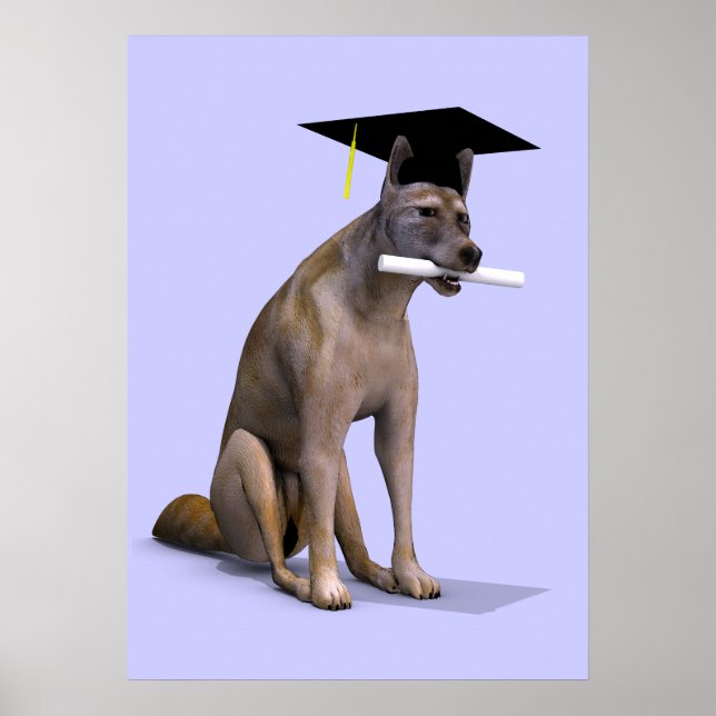 Graduate Coyote Poster (Vorne)