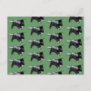 Graduate Skunk Postkarte