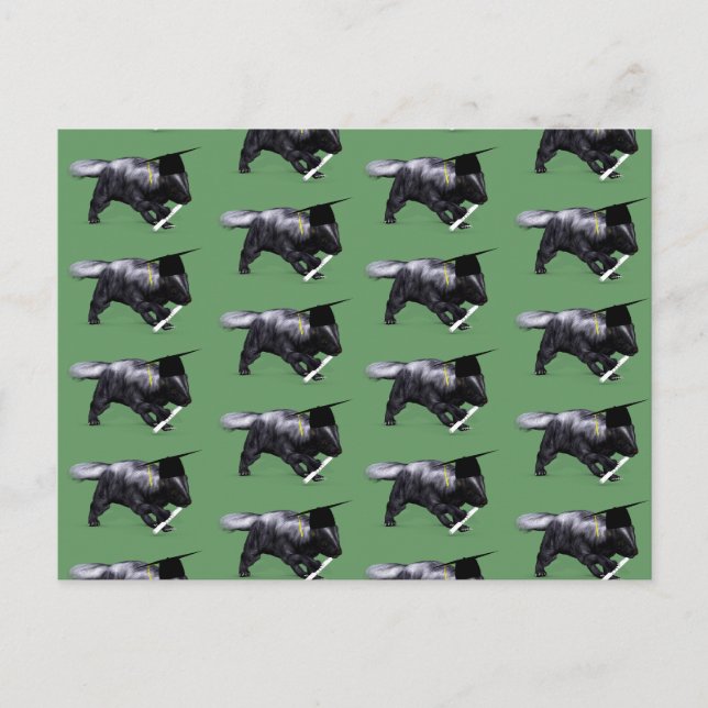 Graduate Skunk Postkarte (Vorderseite)