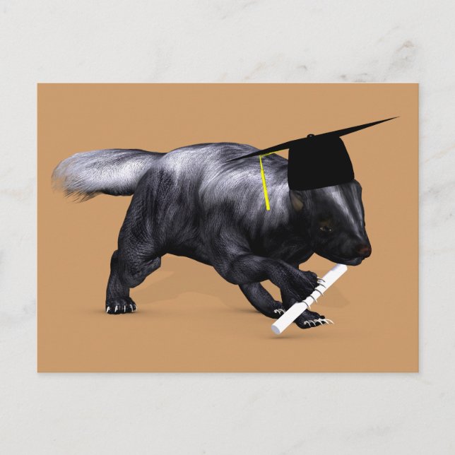 Graduate Skunk Postkarte (Vorderseite)