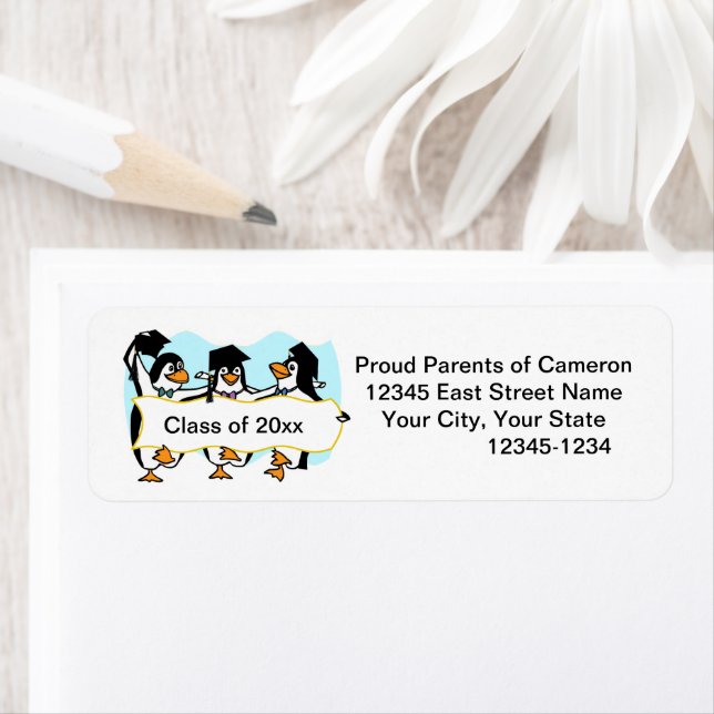 Graduating Dancing Penguins w/Banner (Insitu)