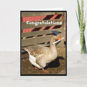 Graduation goose karte
