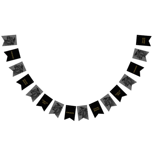 Graduierungsparty-Jagdfahnen Wimpelkette (Alle)