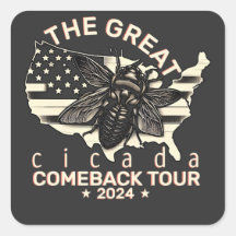 Grafik Cicada Comeback Tour 2024 Design