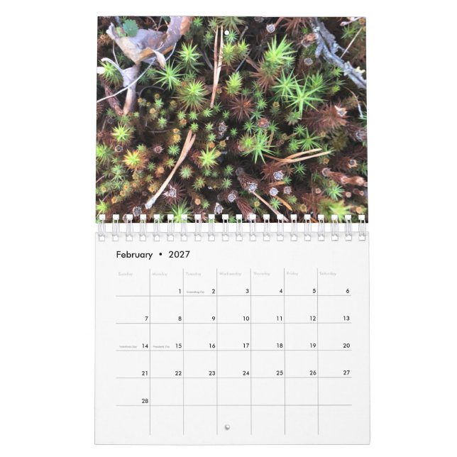 Grafik-Fotokalender Kalender (Feb 2027)