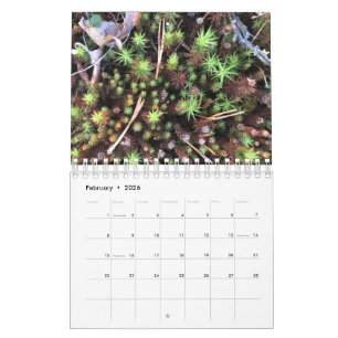Grafik-Fotokalender Kalender