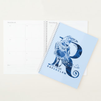 Grafik Harry Potters | Aguamenti RAVENCLAW™ Planer