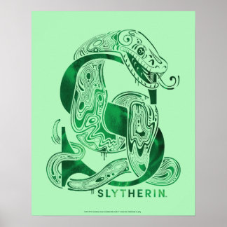 Grafik Harry Potters | Aguamenti SLYTHERIN™ Poster