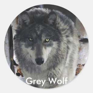 GRAFIK PACK WOLF Collection Runder Aufkleber