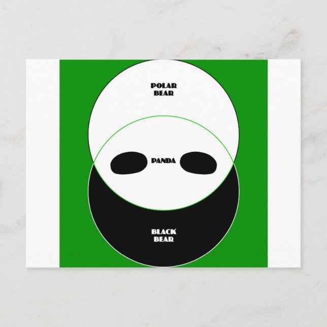 Grafische Bären Postkarte (Vorderseite)