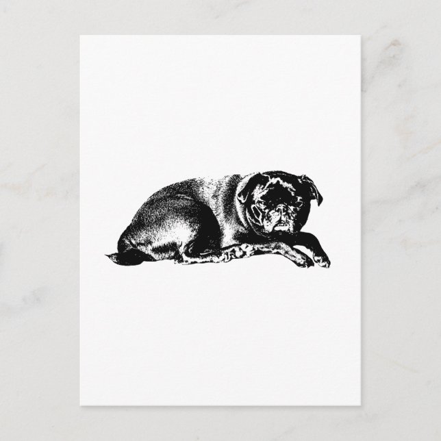 Grafische Pause, gute Nachrichten Postkarte (Vorderseite)