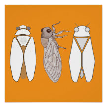 Grafische Zikade und Zikaden-Männchen.