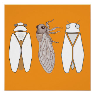 Grafische Zikade und Zikaden-Männchen. Poster
