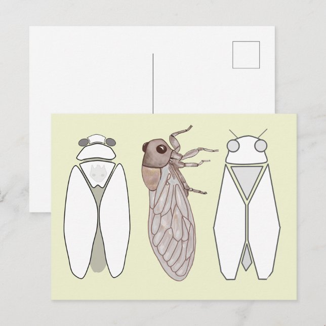 Grafische Zikade und Zikaden-Männchen. Postkarte (Vorne/Hinten)
