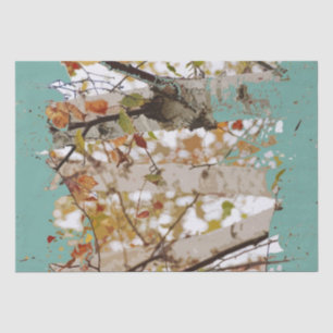 Grafischen Birken-Baum-Farben-Spritzer-Robins Seidenpapier