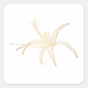 Grafisches goldenes Linienbild einer gerbera-Blume Quadratischer Aufkleber