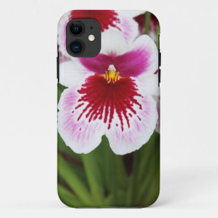 Grafisches iPhone 5case Foto der eleganten Case-Mate iPhone Hülle