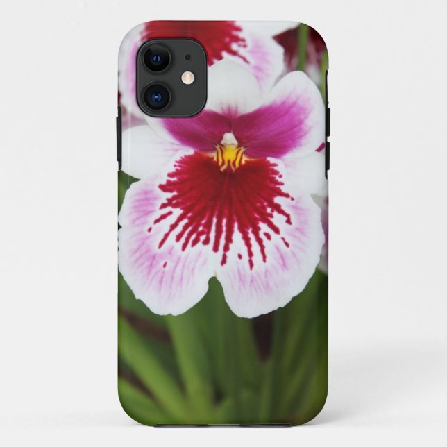 Grafisches iPhone 5case Foto der eleganten Case-Mate iPhone Hülle (Rückseite)