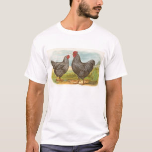 Graham - Barred Plymouth Rocks Chickens T-Shirt