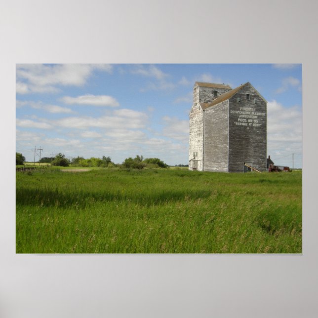 Grain Elevator Print Manitoba Landschaftspflege Pl Poster (Vorne)