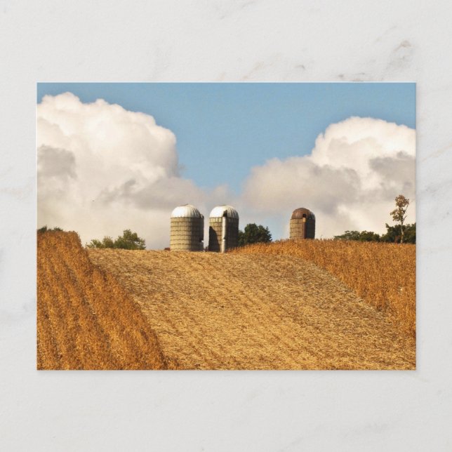 Grain Harvest Postkarte (Vorderseite)