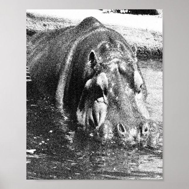 Grainy Schwarz-weiß Hippo Art, Poster (Vorne)