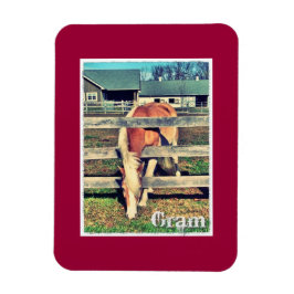 Gram Deluxe Edition Magnet