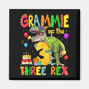 Grammie der drei Rex 3. Geburtstag Boy Dinosaurier Magnet