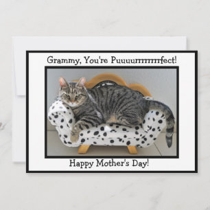 Grammy, Du bist einfach purrfekt! Katzenmutter zum Feiertagskarte