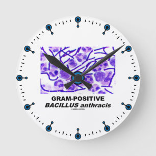 Grampositiver Bazillus Anthracis (Bakterien) Runde Wanduhr