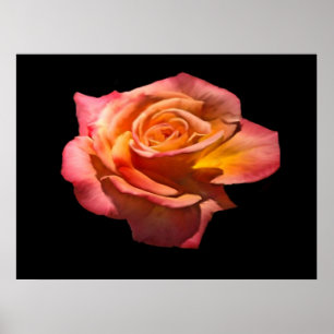 Granada Tee Rose Print Poster