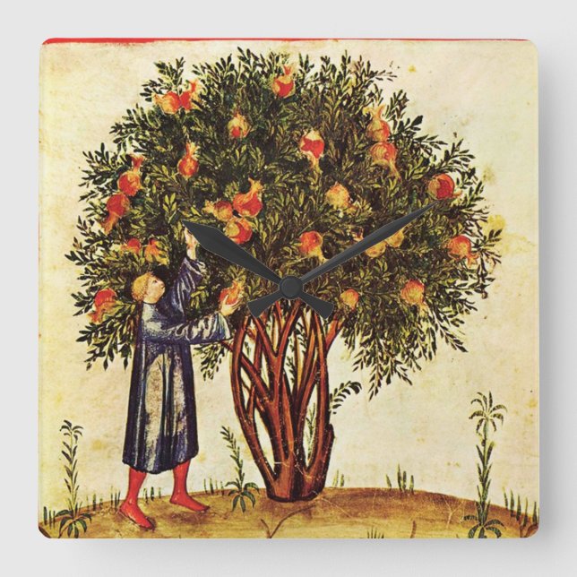 GRANATAPFEL-BAUM-ANTIKEN-MITTELALTERLICHES QUADRATISCHE WANDUHR (Vorderseite)