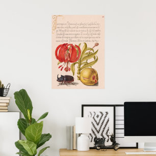 Granatapfel, Blume, Obst und Rhinozeros Poster